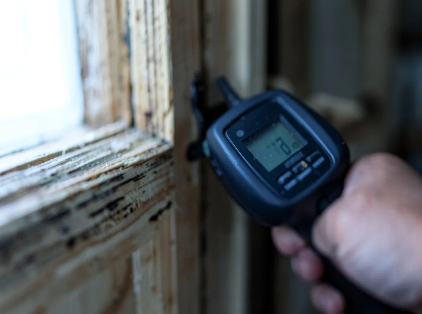 Moisture Inspection And Documentation in Pomerene, AZ